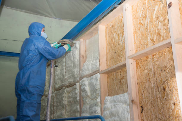 Attic Insulation Near Me in Fruitvale, CO